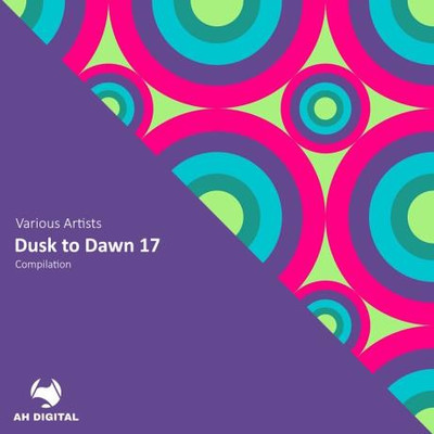 Dusk to Dawn 17 (2024) MP3