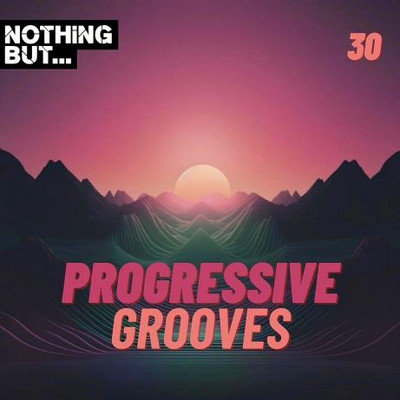 Nothing But... Progressive Grooves, Vol. 30 (2024) MP3