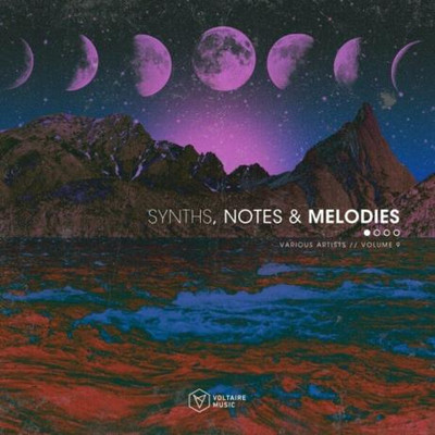 Synths, Notes & Melodies Vol. 9 (2024) MP3