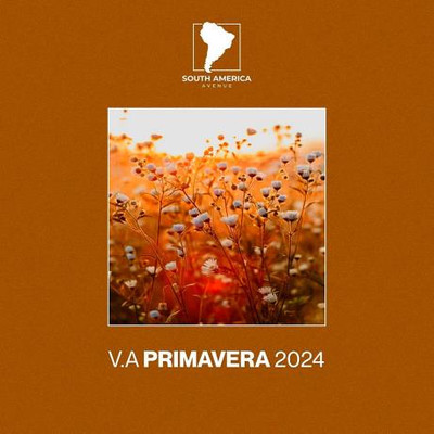 Primavera 2024 (2024) MP3