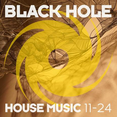 Black Hole House Music 11-24 (2024) MP3