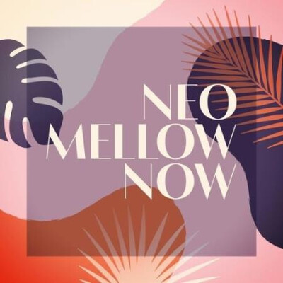 Neo Mellow Now (2025) MP3 Neo Mellow Now (2025) MP3