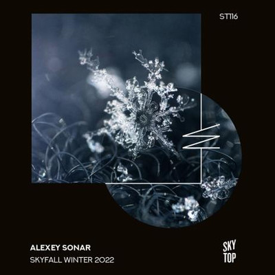 SkyFall Winter 2022 (Compiled by Alexey Sonar) (2022) MP3