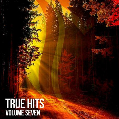 True Hits Vol 7 (2022) MP3