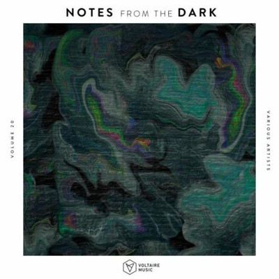Notes from the Dark, Vol. 20 (2022) MP3