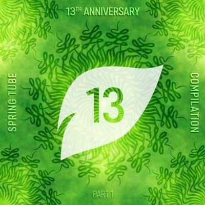 Spring Tube 13th Anniversary Compilation Part 1 (2022) MP3