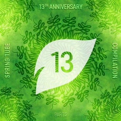 Spring Tube 13th Anniversary Compilation Part 2 (2022) MP3