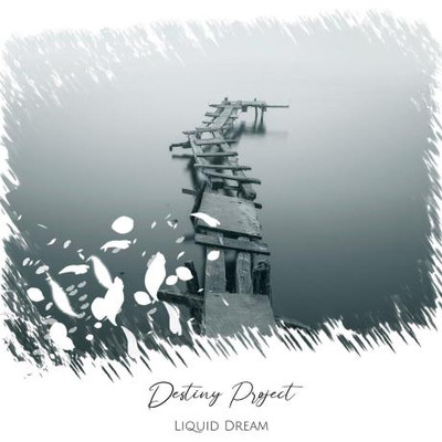liquid dream - Destiny Project (2022) MP3