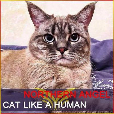 Northern Angel - Cat Like a Human (2022) MP3