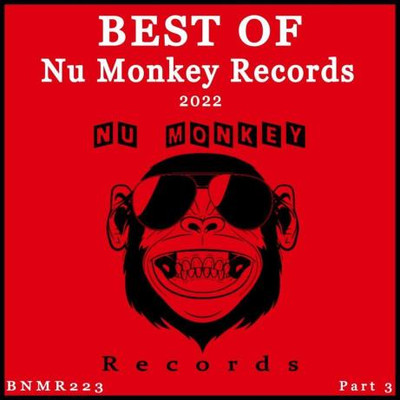 Best Of Nu Monkey Records 2022 Pt. 3 (2023) MP3