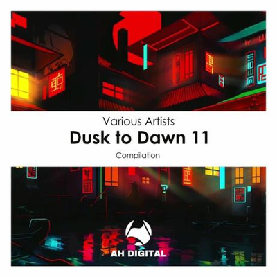 Dusk To Dawn 11 (2023) MP3
