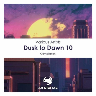 Dusk To Dawn 10 (2023) MP3