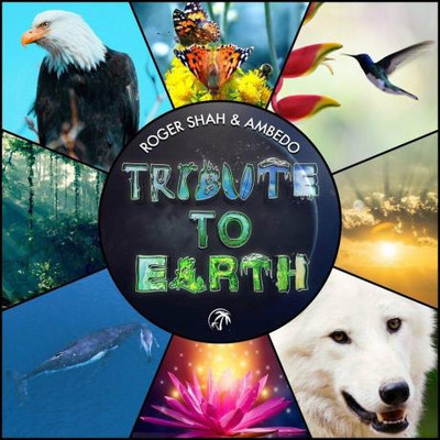Roger Shah & Ambedo - Tribute To Earth (2023) MP3