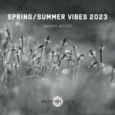 Spring/Summer Vibes 2023 (2023) MP3