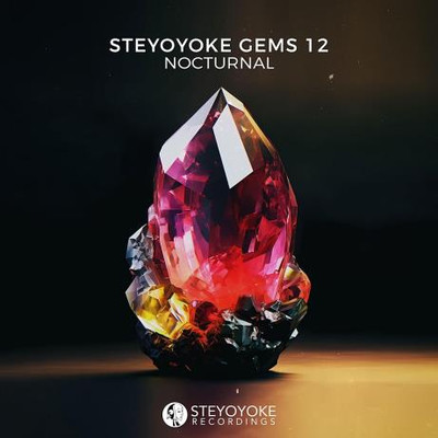 Steyoyoke Gems Nocturnal 12 (2023) MP3