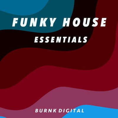 Funky House Essentials 7 (2023) MP3