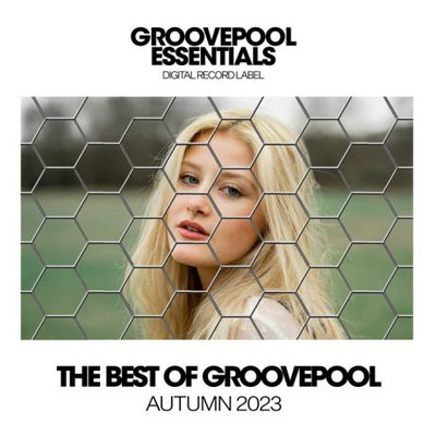 The Best of Groovepool 2023 (2023) MP3