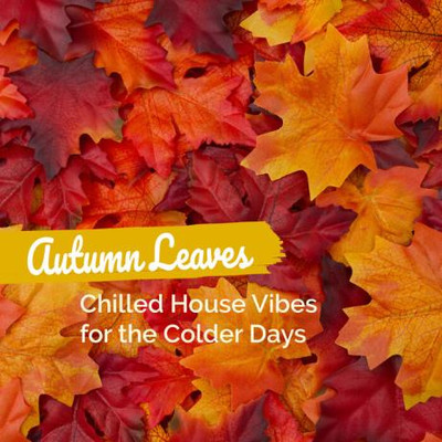 Autumn Leaves: Chilled House Vibes for the Colder Days (2023) MP3