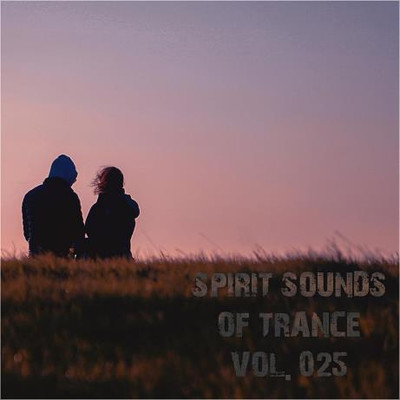 Spirit Sounds Of Trance Vol 25 (Extended Mixes) (2023) MP3