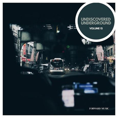 Undiscovered Underground Vol 15 (2024) MP3
