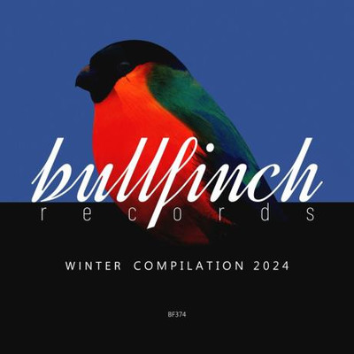 Bullfinch Winter 2024 Compilation (2024) MP3