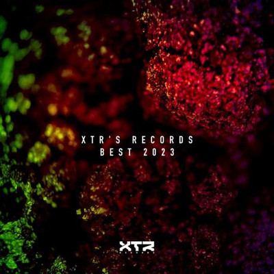 Xtr's Records Best 2023 (2024) MP3
