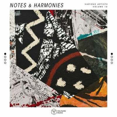 Notes & Harmonies Vol 16 (2024) MP3