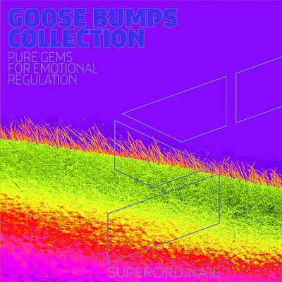 Goose Bumps Collection Vol 11 (2024) MP3