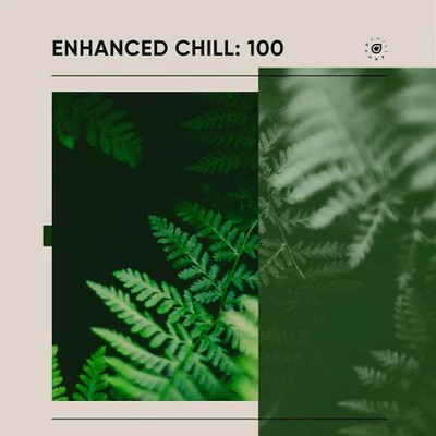 Enhanced Chill 100 (2024) MP3