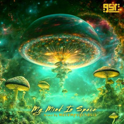 My Mind In Space (Mixed by metempsychosis) (2024) MP3