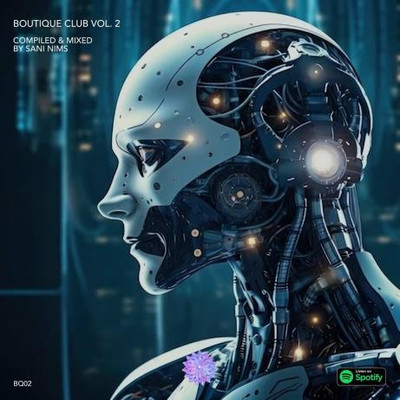 Boutique Club Vol 2 (Compiled & Mixed by SANI NIMS) (2024) MP3
