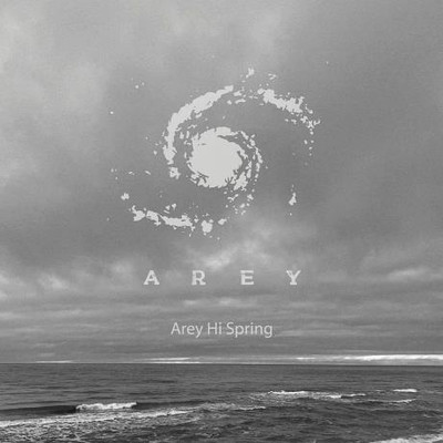 Arey Hi Spring Vol 2 (2024) MP3